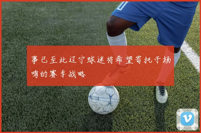 事已至此辽宁球迷将希望寄托于杨鸣的赛季战略