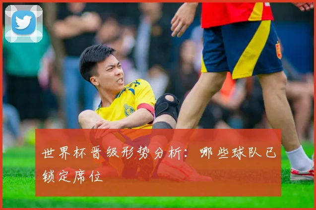 世界杯晋级形势分析:哪些球队已锁定席位