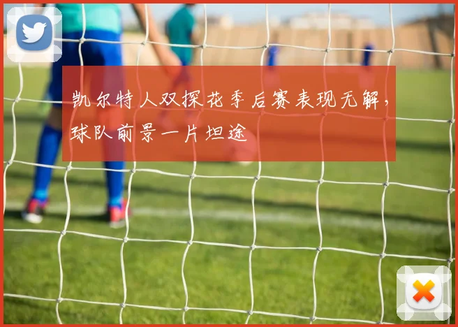 凯尔特人双探花季后赛表现无解,球队前景一片坦途