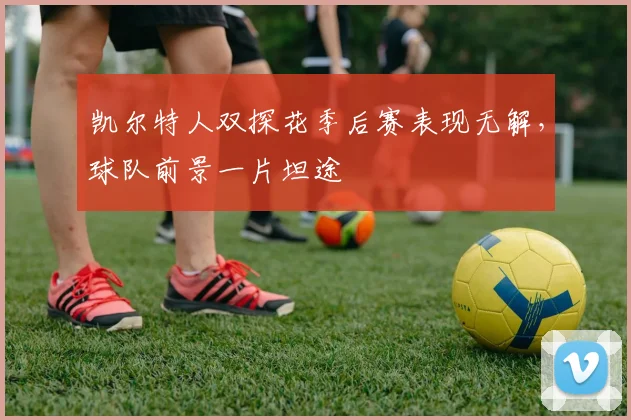 凯尔特人双探花季后赛表现无解，球队前景一片坦途