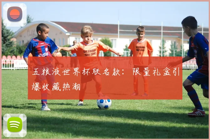 五粮液世界杯联名款:限量礼盒引爆收藏热潮