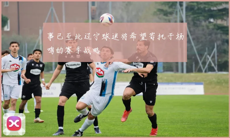 事已至此辽宁球迷将希望寄托于杨鸣的赛季战略